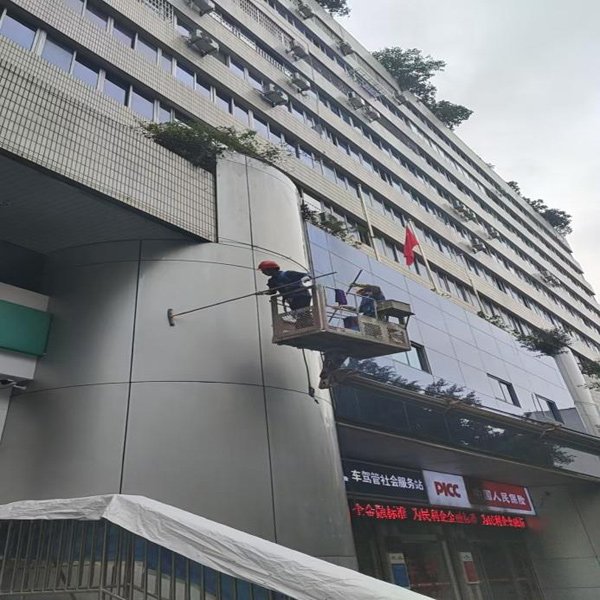 而是对细节的极致雕琢