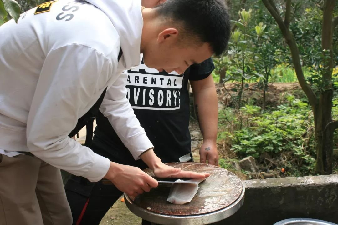 便于结合栏目动态与后续阅读